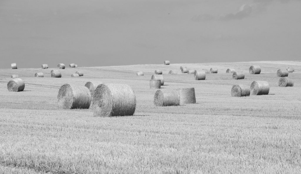 UK farm prices