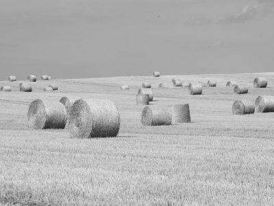 UK farm prices