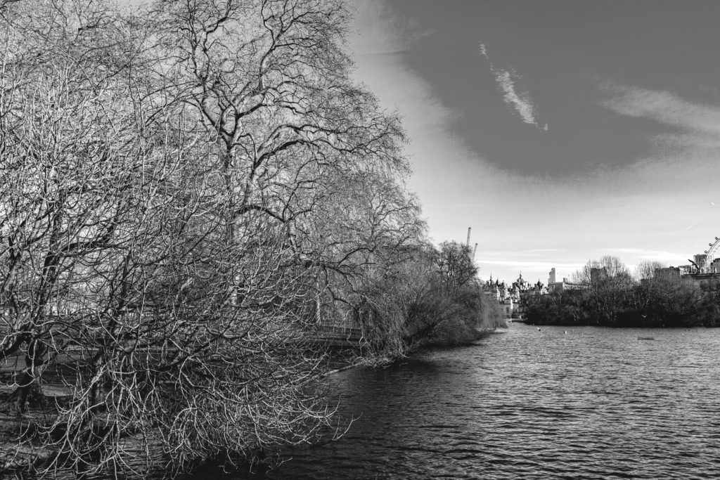 Royal-Park-London