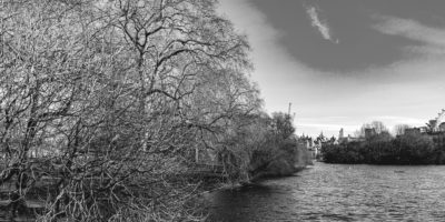 Royal-Park-London