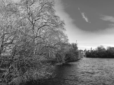 Royal-Park-London