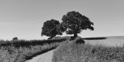 Shropshire
