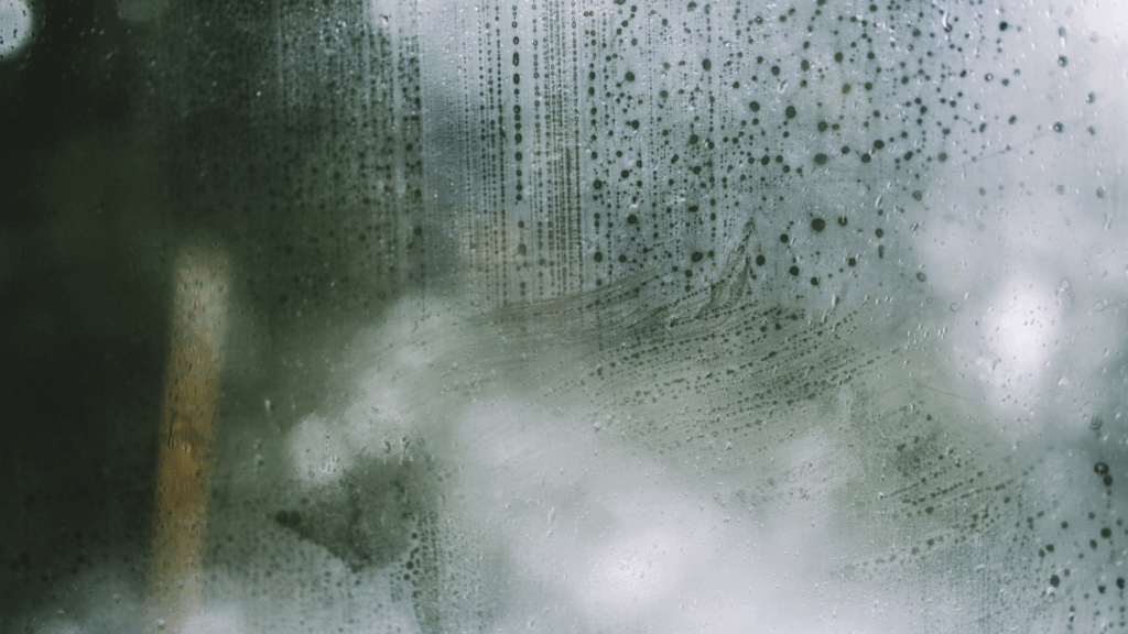 Picture of condensation on weindow