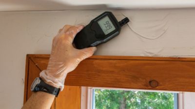 Damp checker on wall